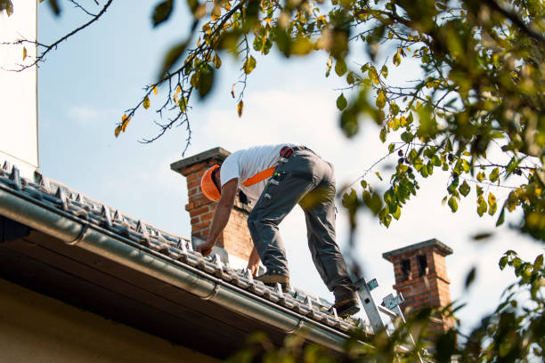 Best Storm Damage Roof Repair  in Fordoche, LA